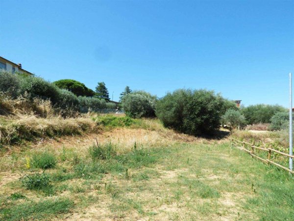 terreno agricolo in vendita a Montepulciano