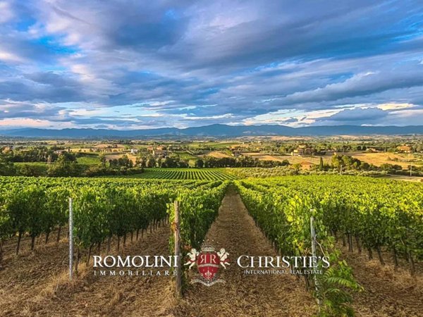 casa indipendente in vendita a Montepulciano