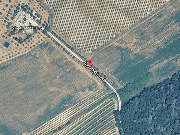 casa indipendente in vendita a Montepulciano in zona Ascianello