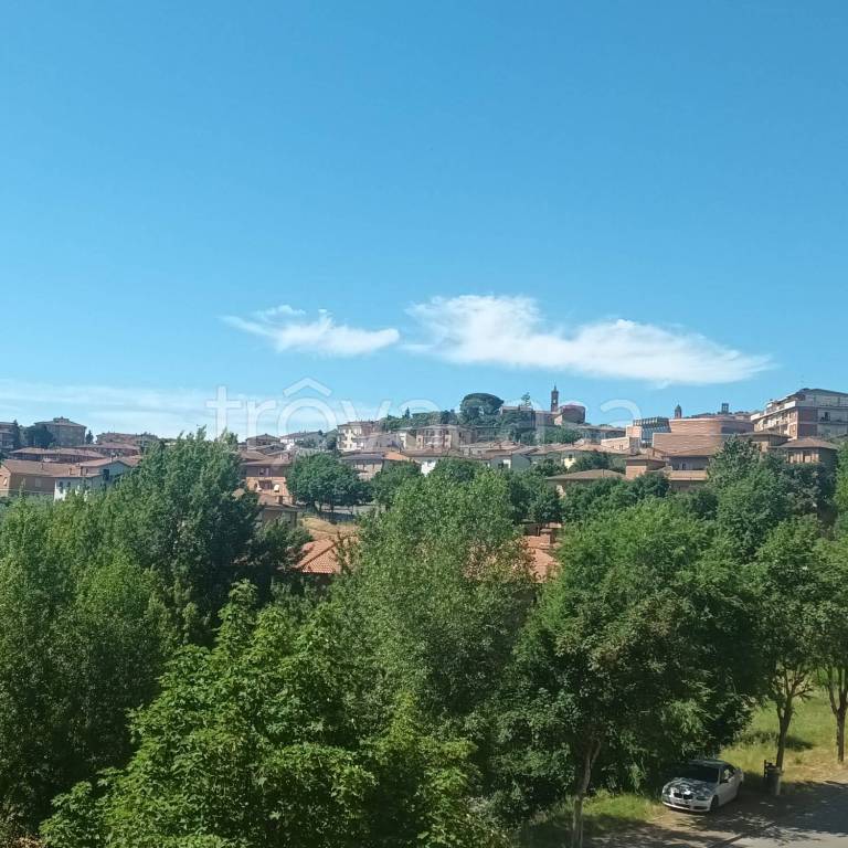 immagine annuncio 0 di 15