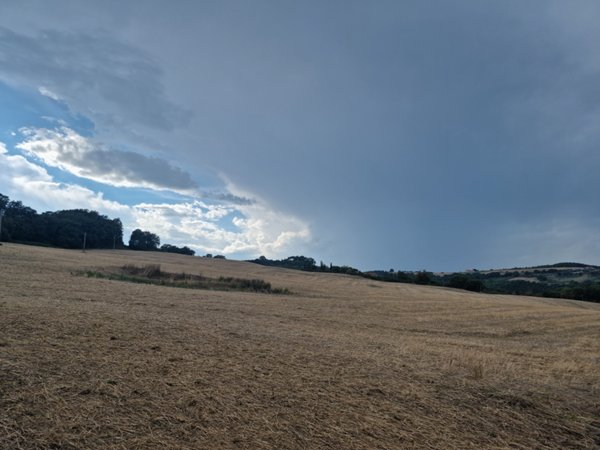 terreno in vendita a Montepulciano