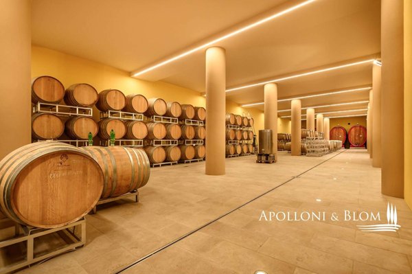 casa indipendente in vendita a Montepulciano