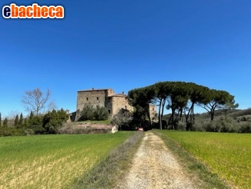 appartamento in vendita a Monteriggioni