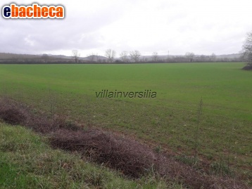 terreno agricolo in vendita a Monteriggioni