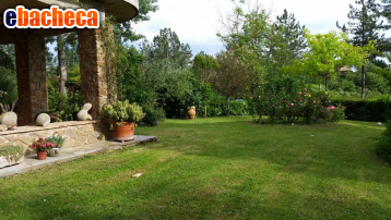 appartamento in vendita a Monteriggioni in zona Uopini