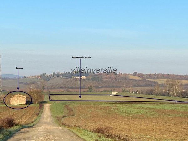 terreno agricolo in vendita a Monteriggioni