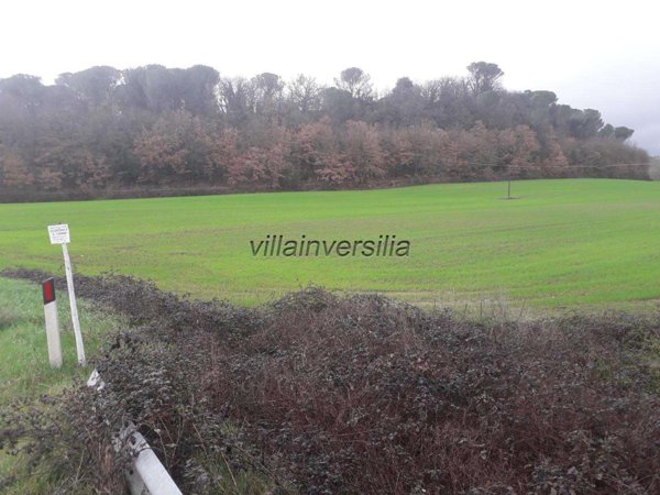 terreno agricolo in vendita a Monteriggioni