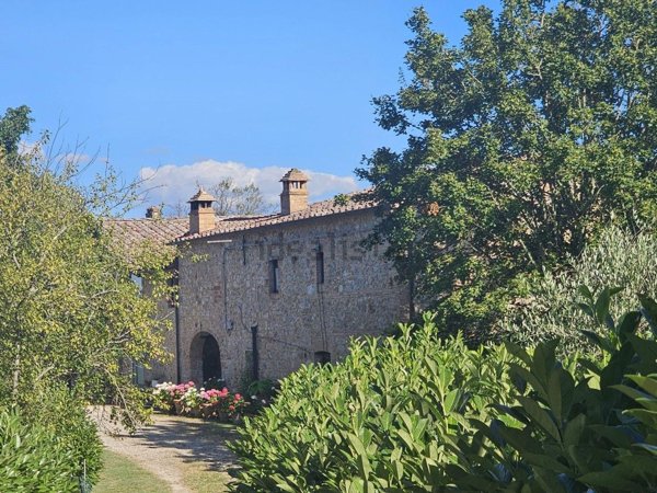 immagine annuncio 0 di 1