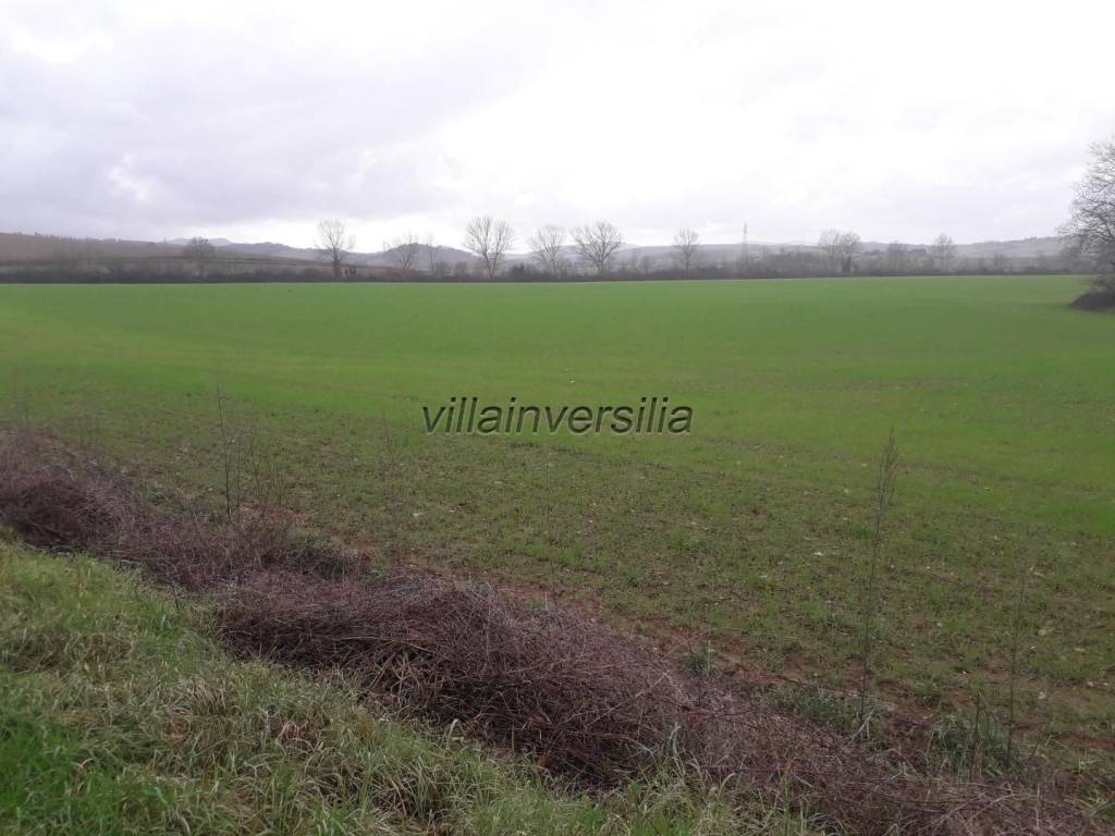 terreno agricolo in vendita a Monteriggioni