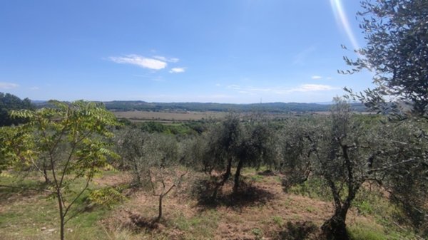 terreno agricolo in vendita a Monteriggioni