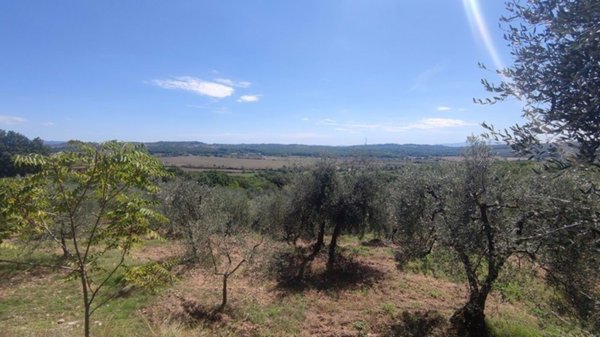 terreno agricolo in vendita a Monteriggioni