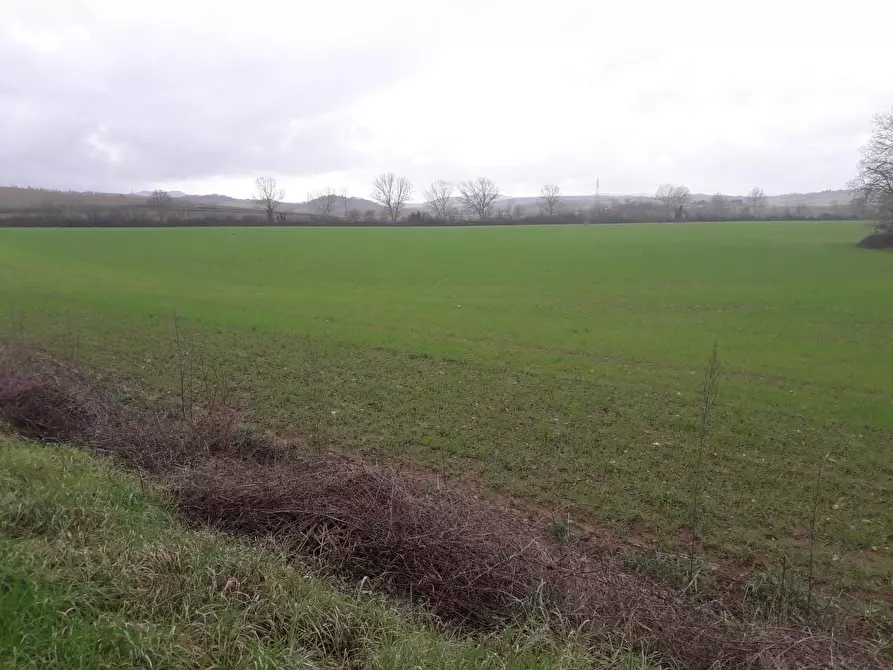 terreno agricolo in vendita a Monteriggioni