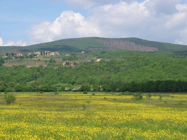 appartamento in vendita a Monteriggioni in zona Badesse