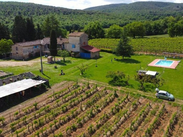 negozio in vendita a Monteriggioni