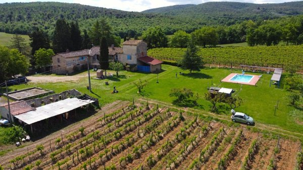 azienda agricola in vendita a Monteriggioni