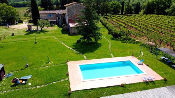 azienda agricola in vendita a Monteriggioni