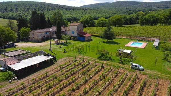 azienda agricola in vendita a Monteriggioni