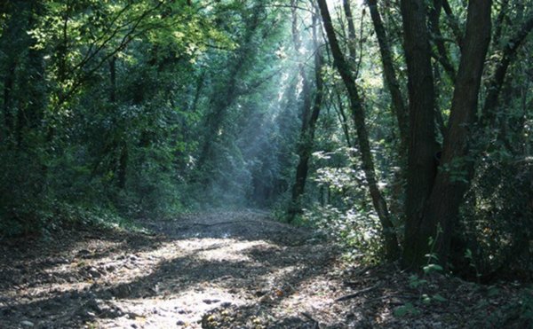 appartamento in vendita a Monteriggioni in zona Badesse