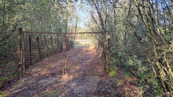 terreno agricolo in vendita a Monteriggioni in zona Badesse