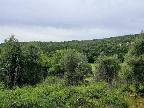terreno agricolo in vendita a Monteriggioni in zona Colonna di Monteriggioni
