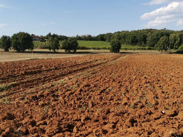 terreno agricolo in vendita a Monteriggioni in zona Abbadia Isola
