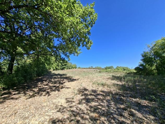 terreno agricolo in vendita a Monteriggioni in zona Uopini
