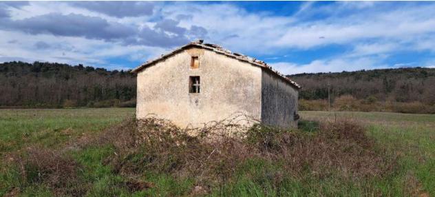 terreno agricolo in vendita a Monteriggioni