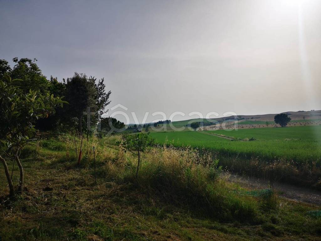 casa indipendente in vendita a Monteroni d'Arbia