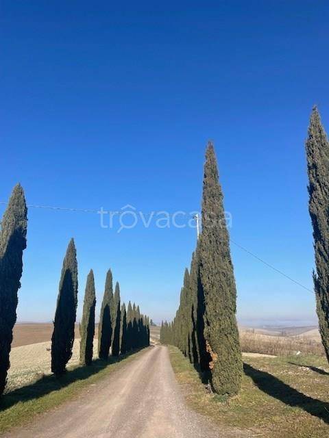 appartamento in vendita a Monteroni d'Arbia in zona Radi