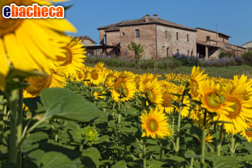 appartamento in vendita a Monteroni d'Arbia