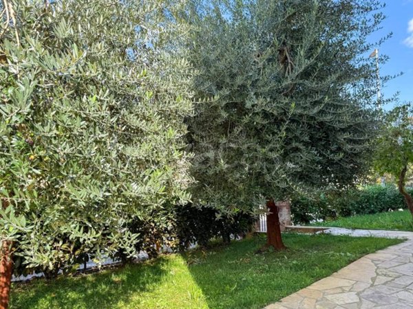 appartamento in vendita a Monteroni d'Arbia