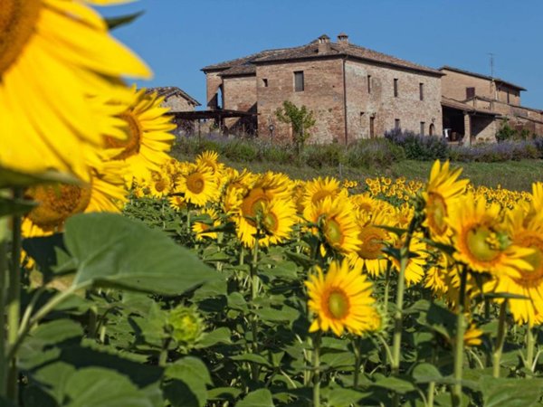 casa indipendente in vendita a Monteroni d'Arbia