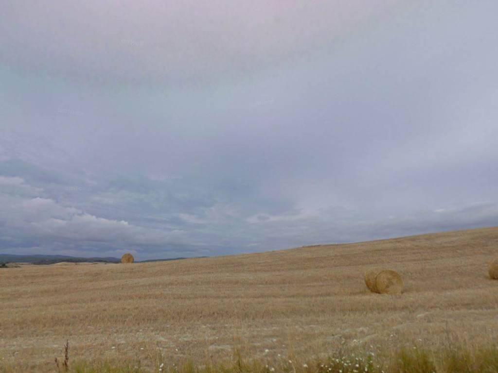 terreno agricolo in vendita a Monteroni d'Arbia