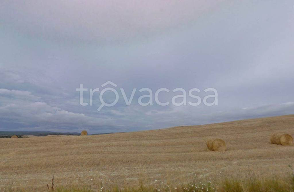 terreno agricolo in vendita a Monteroni d'Arbia