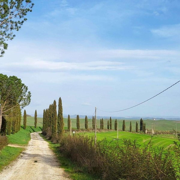 intera palazzina in vendita a Monteroni d'Arbia in zona Ville di Corsano