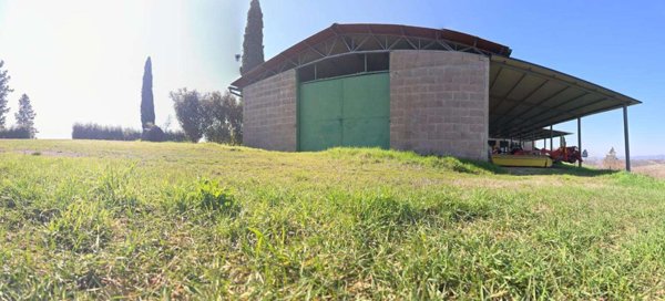 azienda agricola in vendita a Monteroni d'Arbia in zona Ville di Corsano
