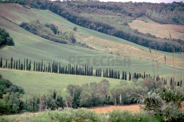 appartamento in vendita a Monteroni d'Arbia in zona Ville di Corsano