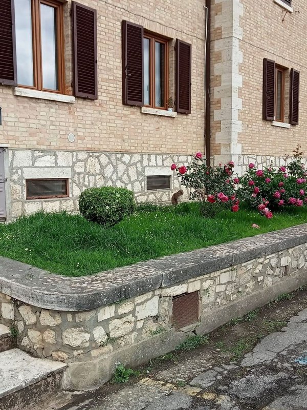 appartamento in vendita a Monteroni d'Arbia in zona Ponte d'Arbia