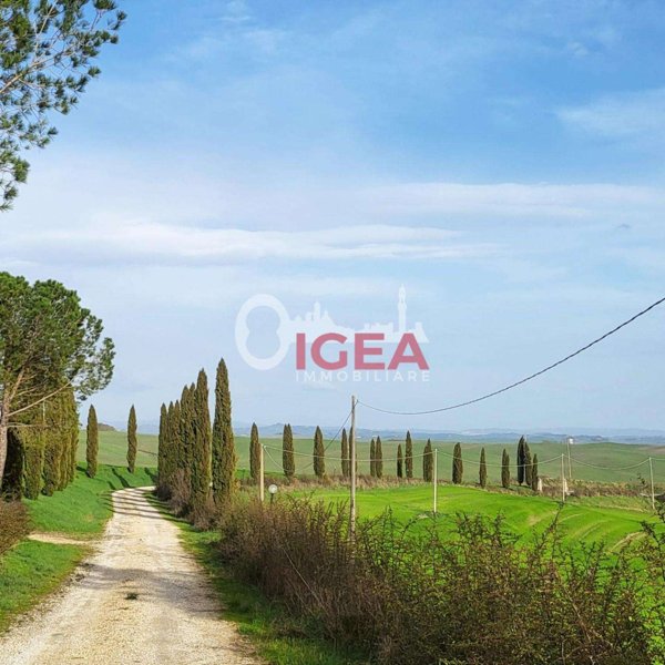 immagine annuncio 0 di 15