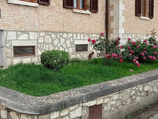 appartamento in vendita a Monteroni d'Arbia in zona Ponte d'Arbia