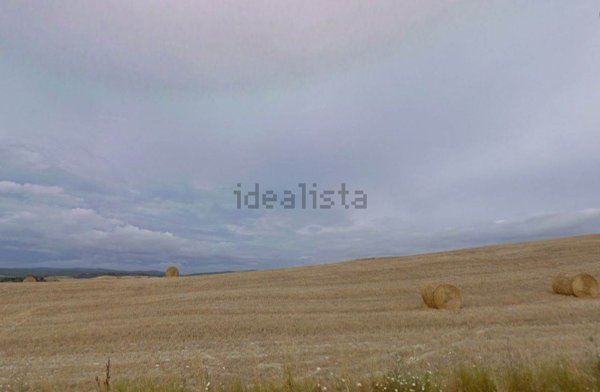 terreno agricolo in vendita a Monteroni d'Arbia