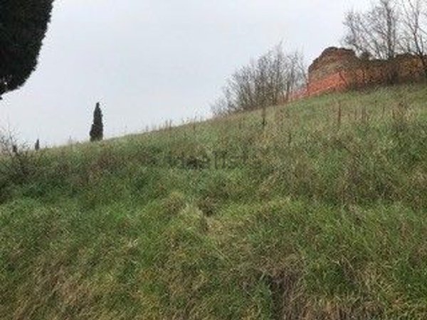 casale in vendita a Monteroni d'Arbia