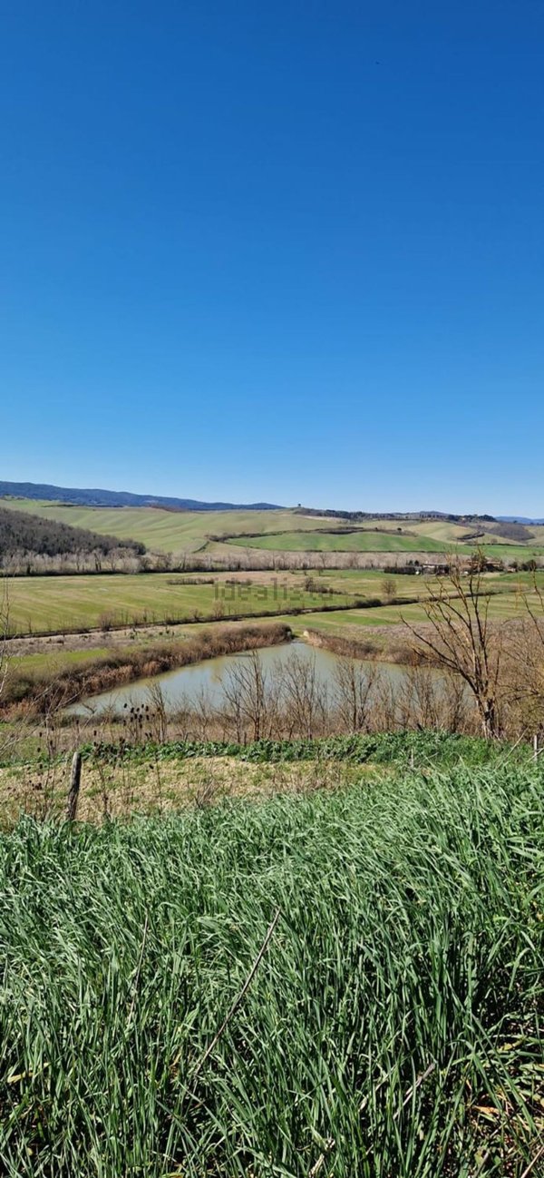 terreno agricolo in vendita a Monteroni d'Arbia in zona Ponte d'Arbia