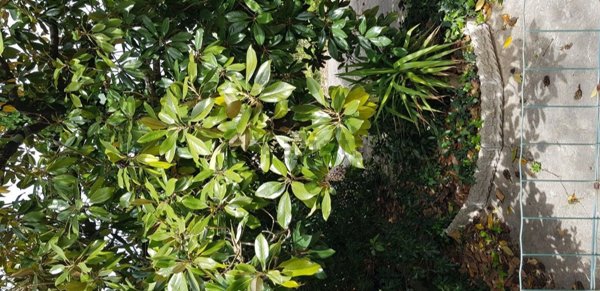 appartamento in vendita a Monteroni d'Arbia