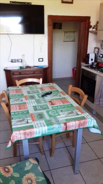 appartamento in vendita a Monticiano in zona Tocchi