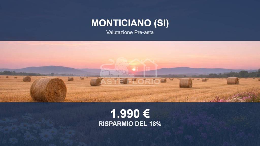 terreno agricolo in vendita a Monticiano in zona San Lorenzo a Merse