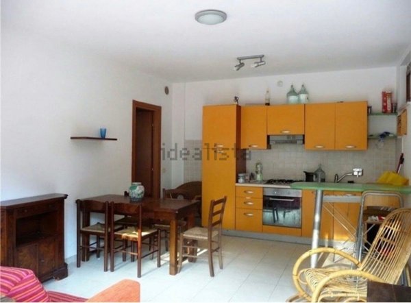 appartamento in vendita a Monticiano