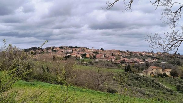 appartamento in vendita a Murlo in zona Vescovado