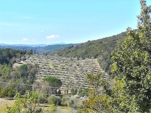 terreno agricolo in vendita a Murlo