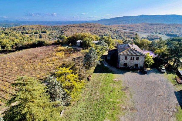 azienda agricola in vendita a Murlo